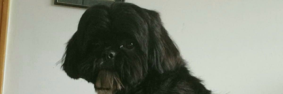 Josh Behan-Devlin banner