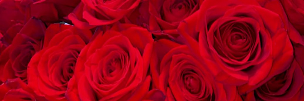 lizz_babee's profile banner image