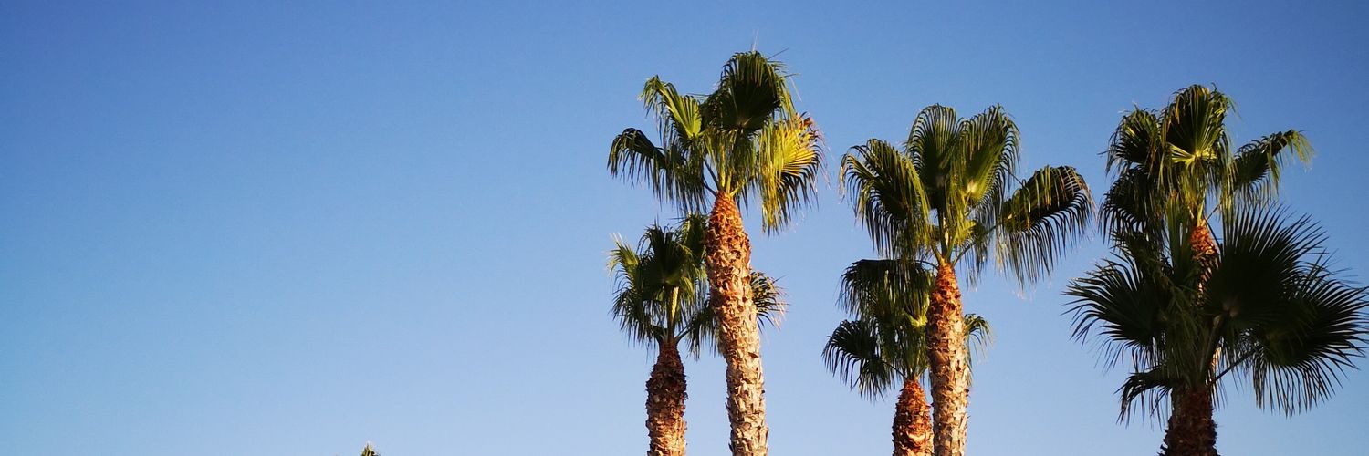 DanielTejeroB's profile banner image