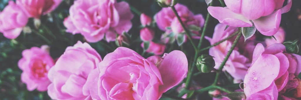 jaaay_good's profile banner image