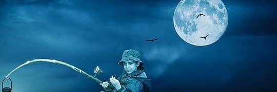 farid_hab's profile banner image