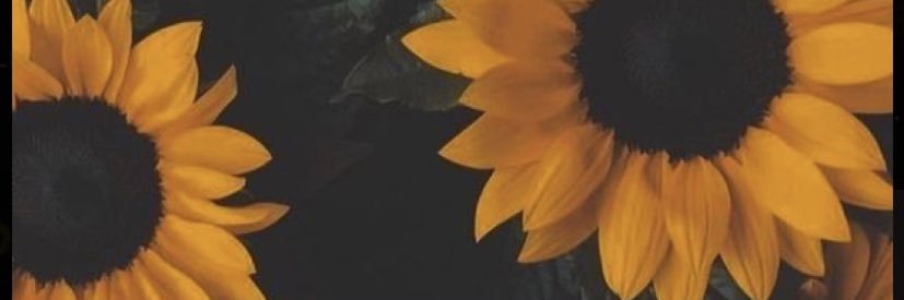 larissm1's profile banner image