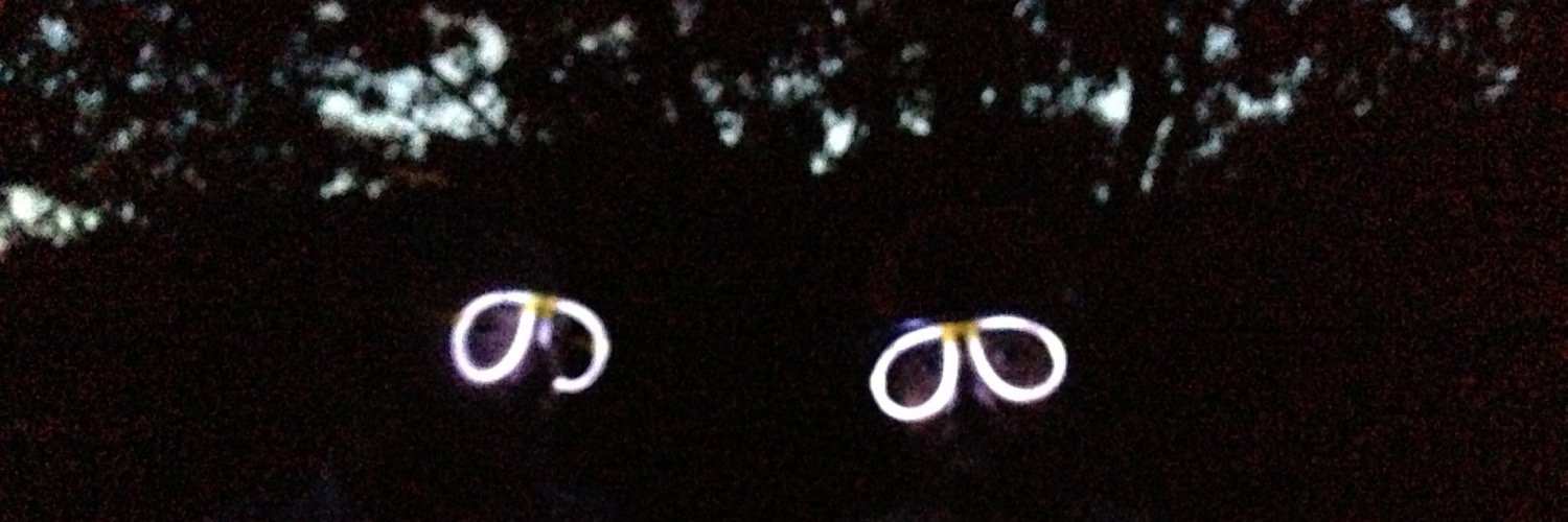 yadnoj's profile banner image
