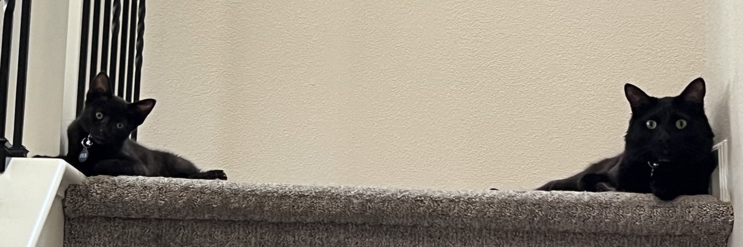 sinjinrosa's profile banner image