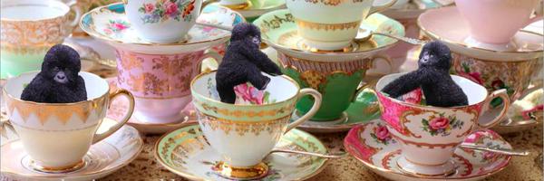 NinaStrochlic Profile Banner