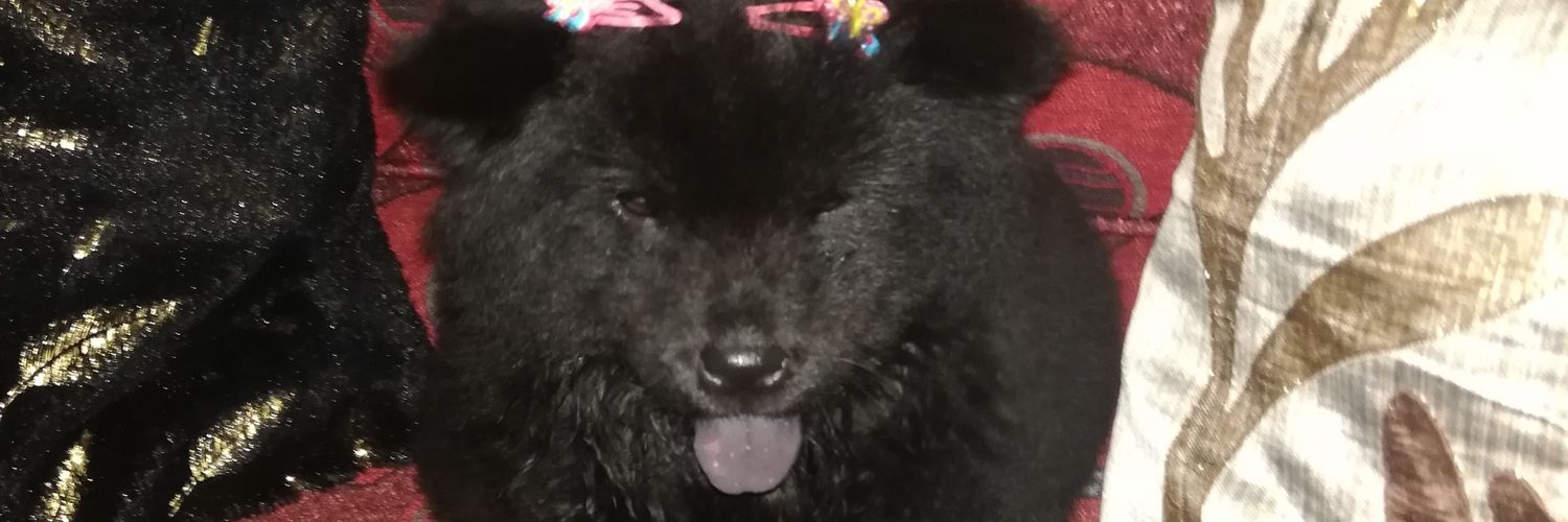 iamQui's profile banner image