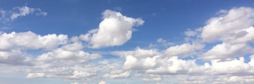 lsinger317's profile banner image