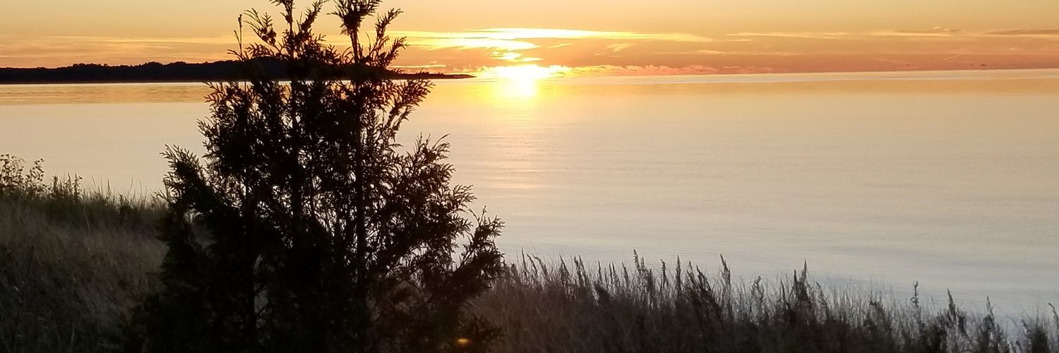 socialjcd's profile banner image