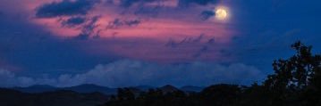 han_oleander's profile banner image