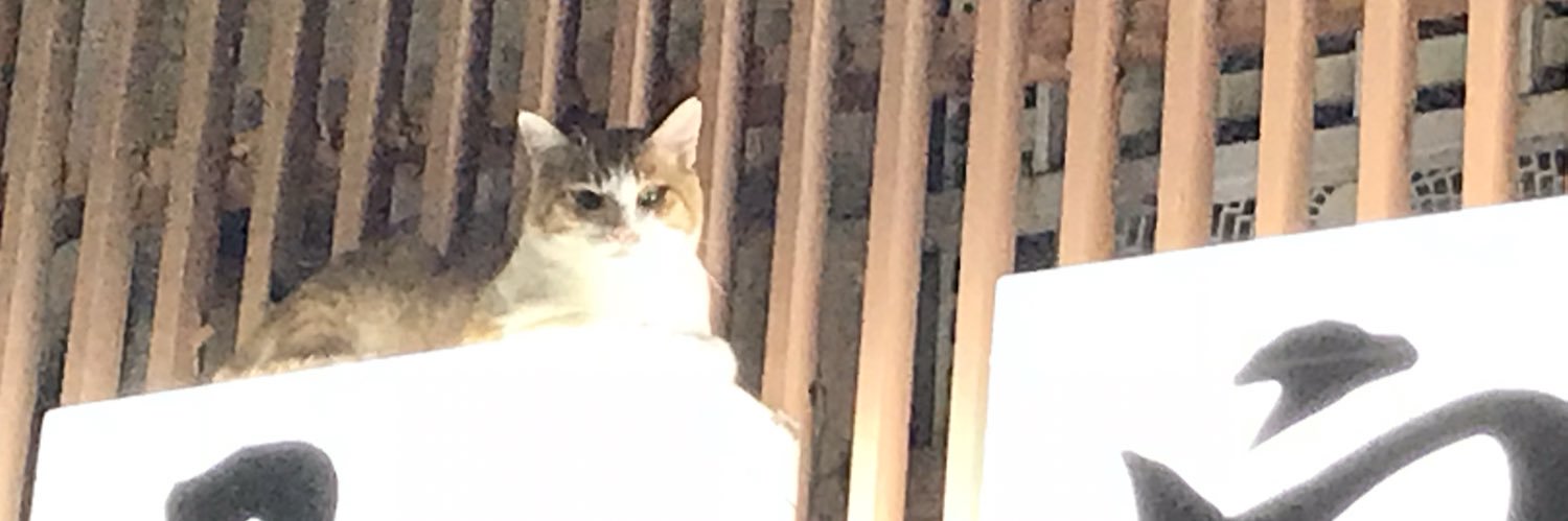 sui_utsuki@🎤🐱🐰🐺🐖🐇🐿️🐥🥝🐶🦊 banner