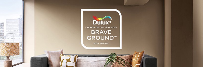 Dulux Ireland banner