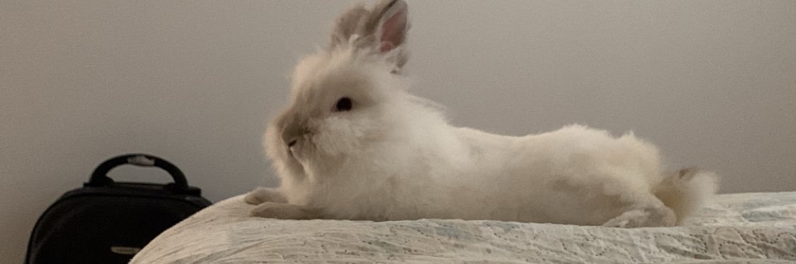 aannavoigg's profile banner image