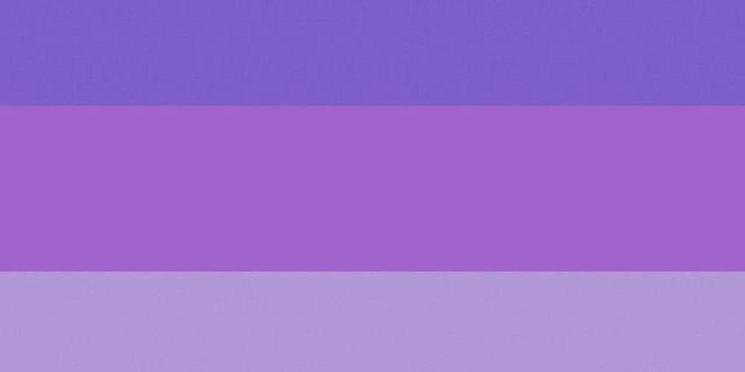 ippaoppa's profile banner image