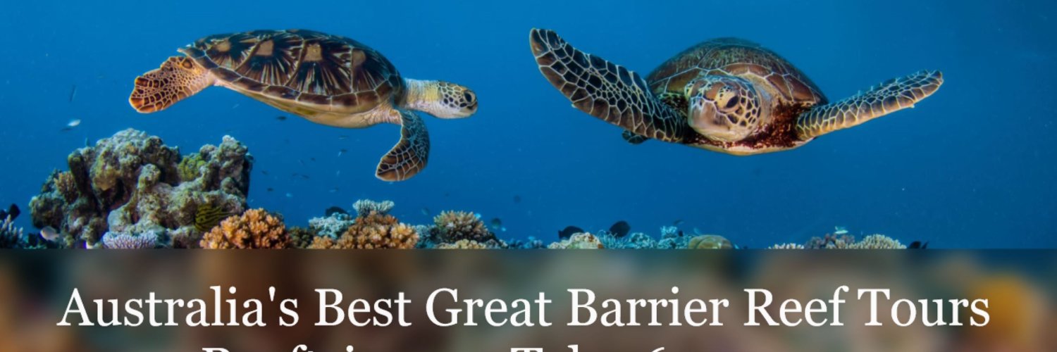 reeftrip's profile banner image