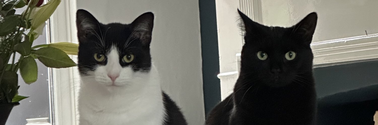 howardyy's profile banner image