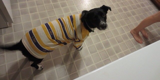 Geaux_Duke's profile banner image