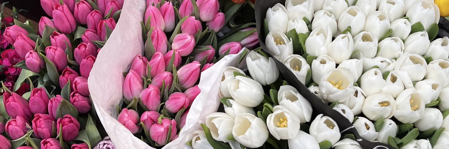 pluie 🌧️ banner