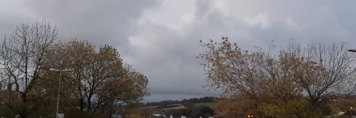 bibbydebob's profile banner image