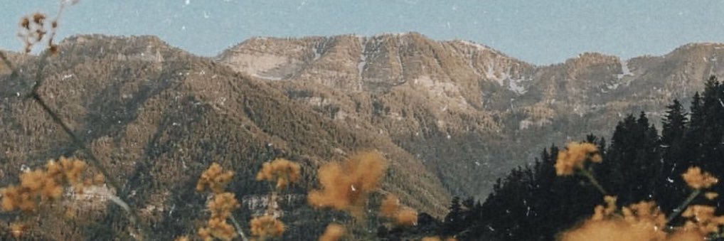 lee banner