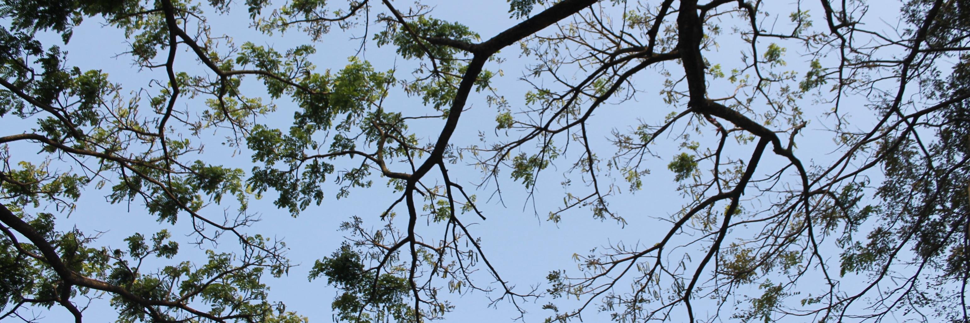 tikaakw's profile banner image