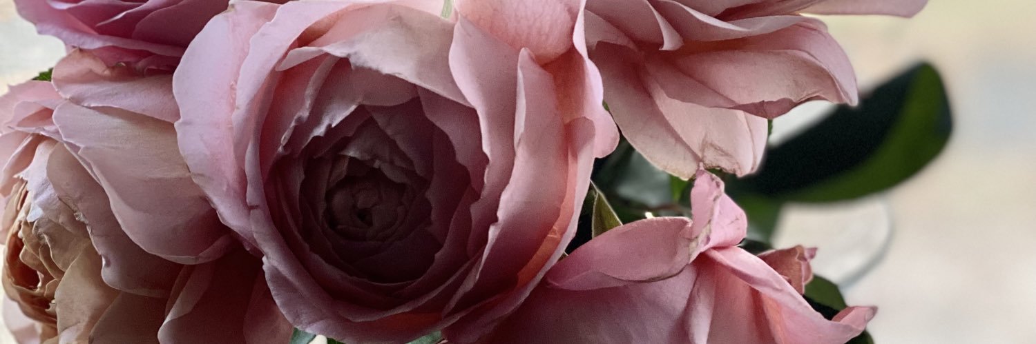 BookishMarci's profile banner image