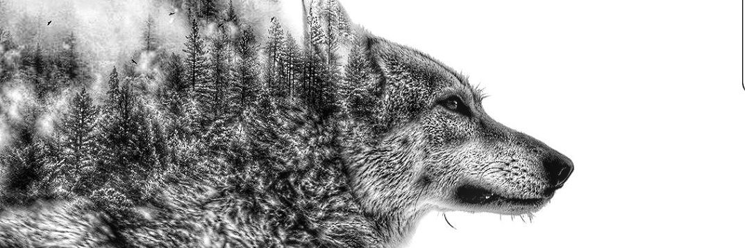 grscsemih's profile banner image