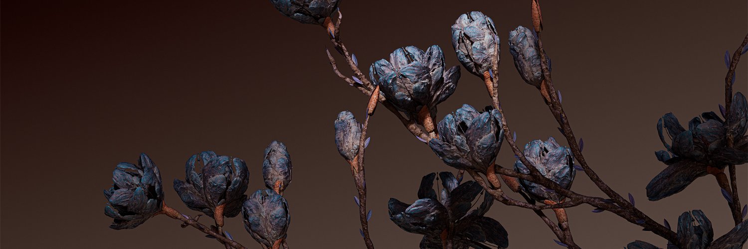 Stephan Duq | Bloom banner