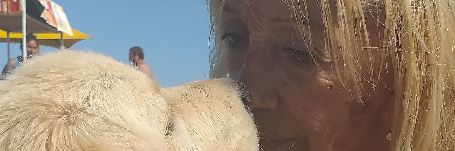 elena_pazo's profile banner image