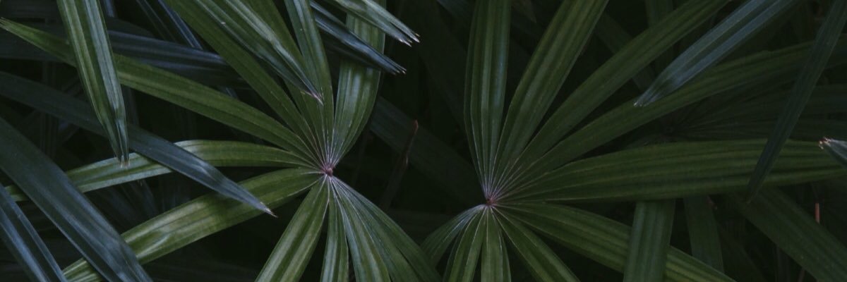 andresgabriel98's profile banner image