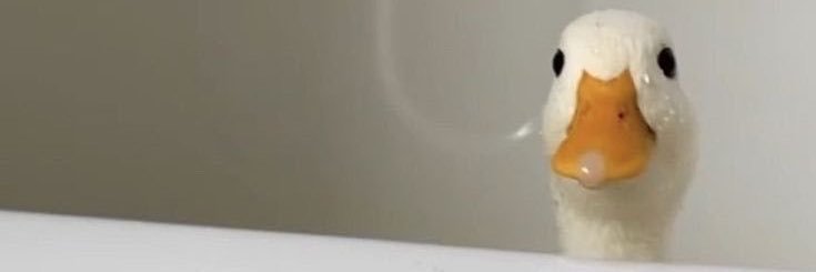 0xElijahhh's profile banner image