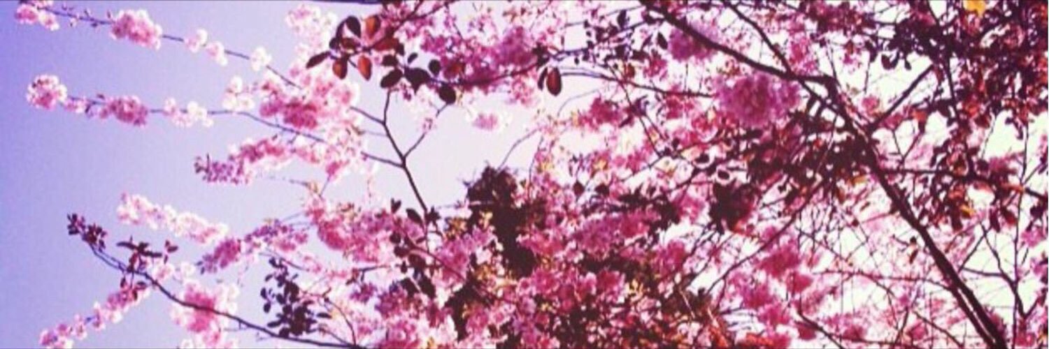 adodalthani's profile banner image