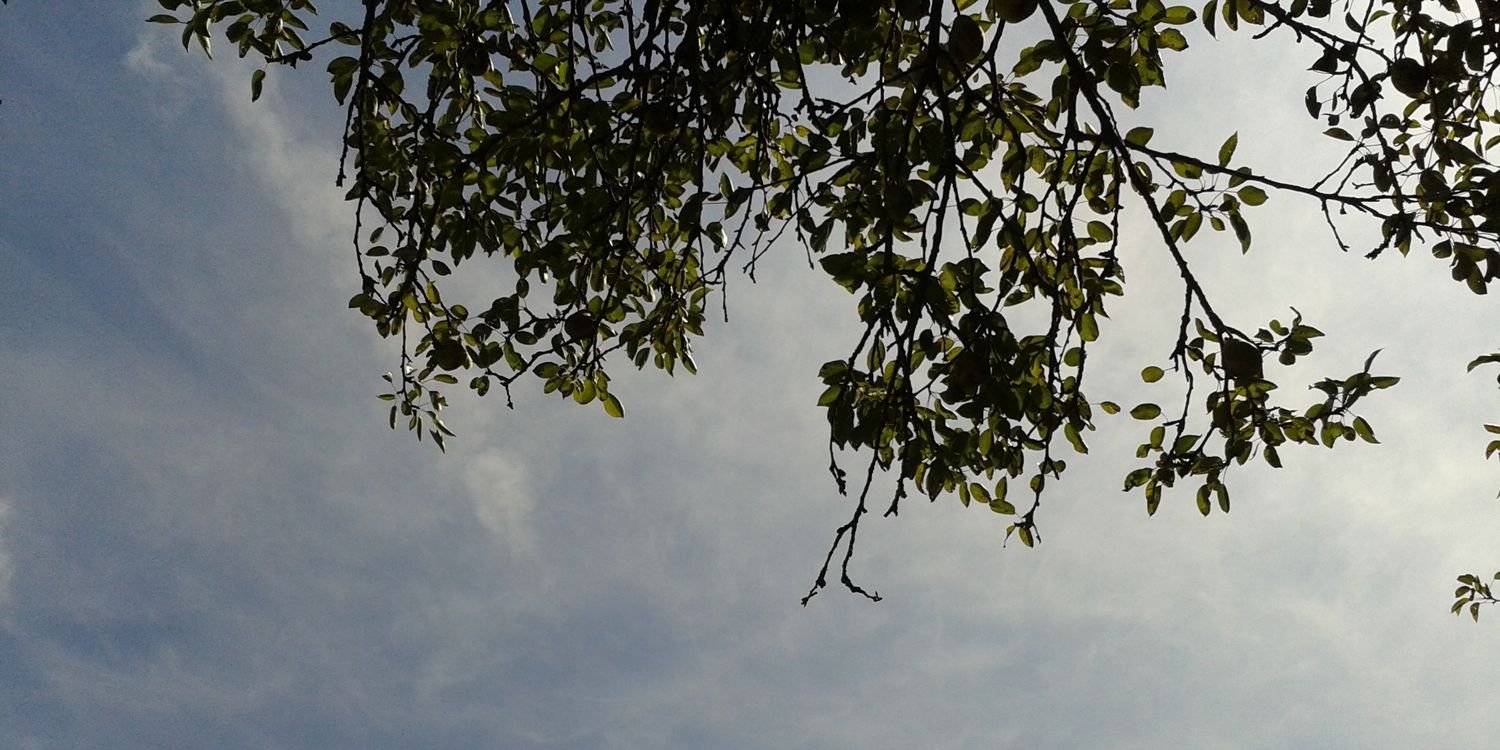 fdez_gemafa's profile banner image