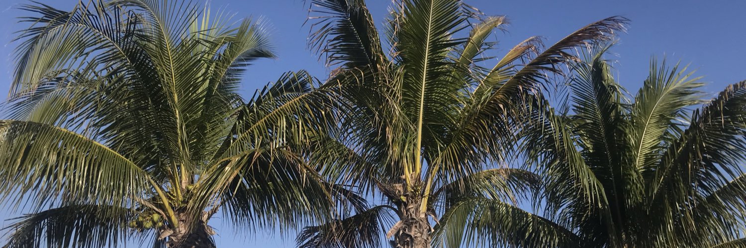 mackenziec1996's profile banner image