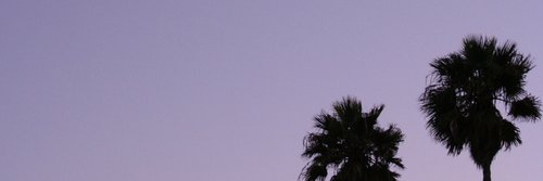 kotbmostafa66's profile banner image