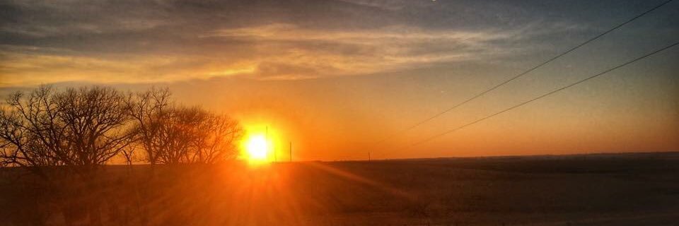 ericalpeterson's profile banner image