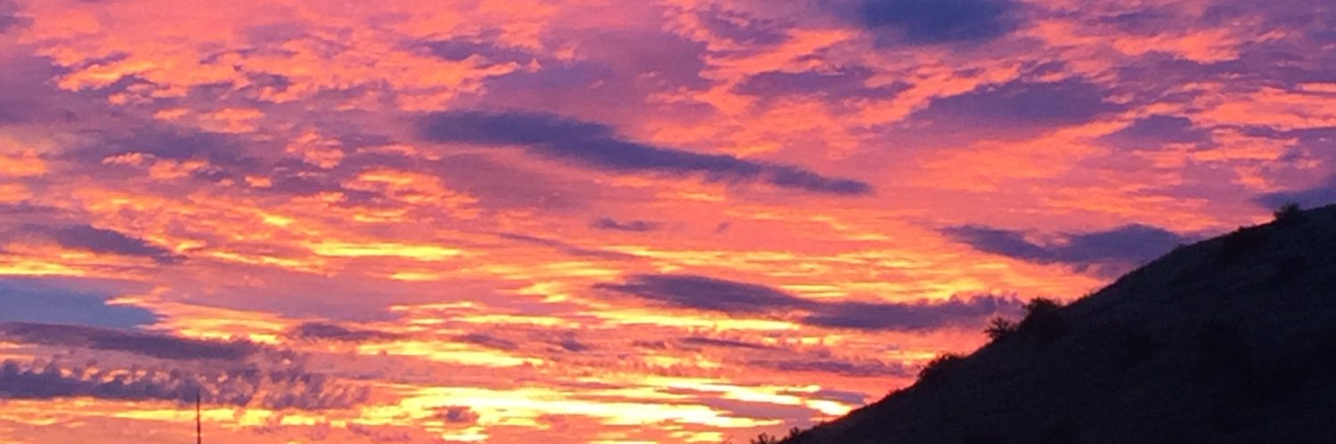 Terri R. Pickens banner