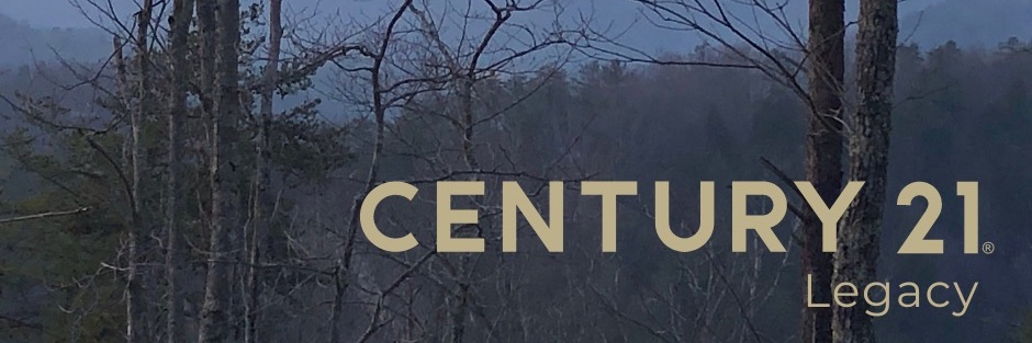 davidowenby's profile banner image