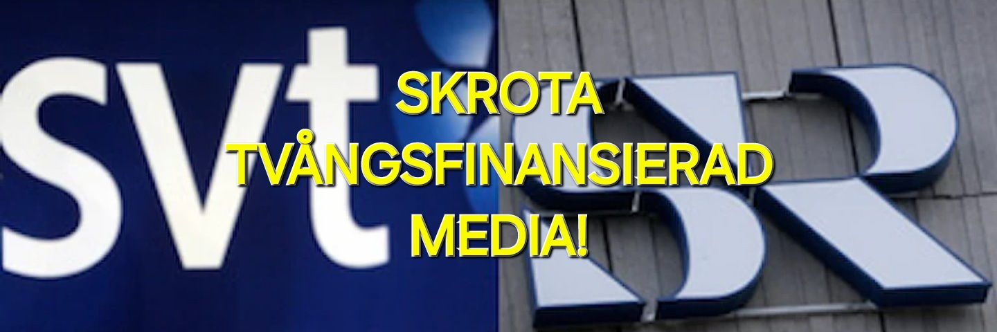 InteSosse 🪓🇸🇪🇺🇦's banner