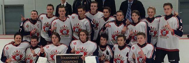 Elmvale Midget Rep ™ banner