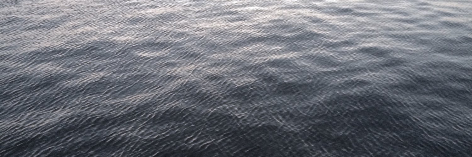 cattsang_'s profile banner image