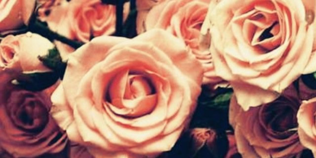 Queen Suarez♕ banner