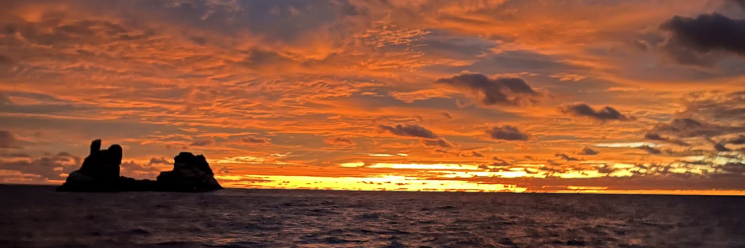 Jaime Ocampo🇲🇽🇵🇸🇻🇪🇨🇺🇧🇴🇷🇺🇨🇳 banner