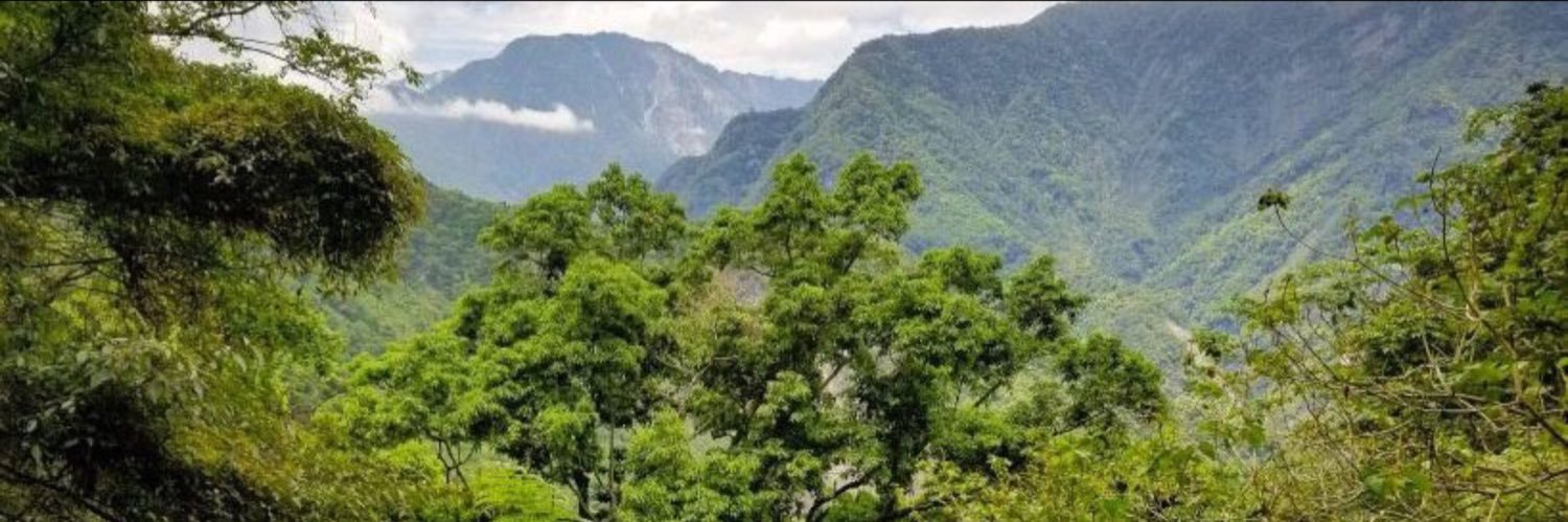 Xiani P.Ch. 鄭夏霓 🌻 banner