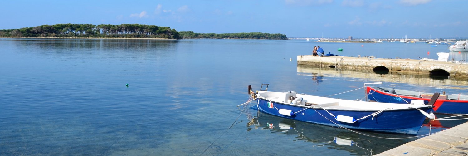 FSalento's profile banner image