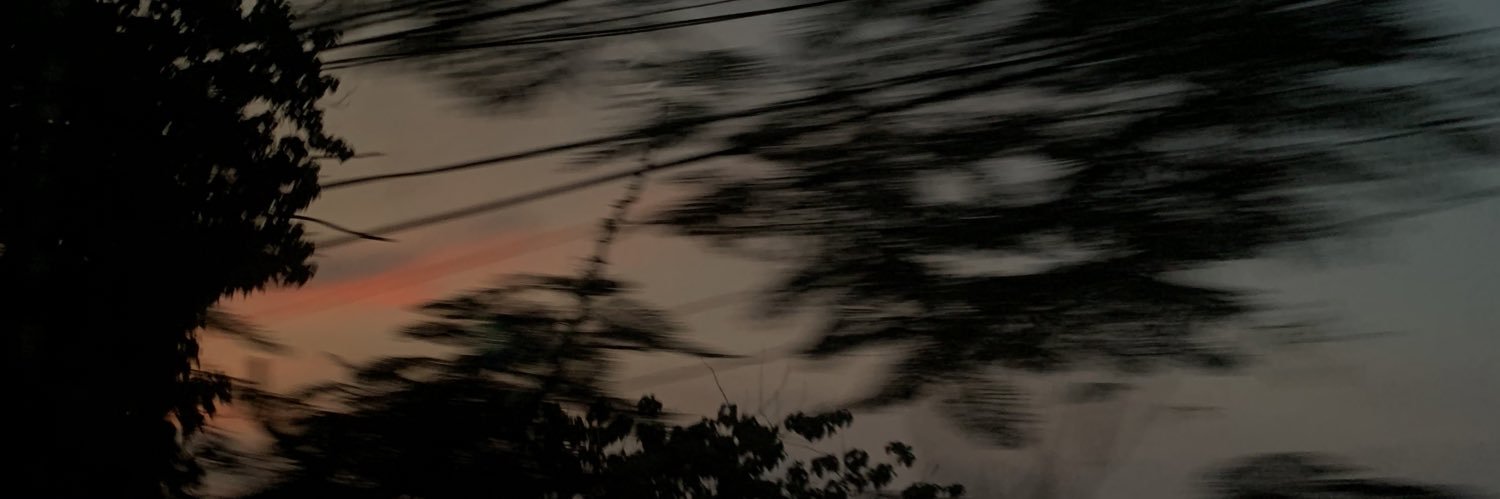 wtfbert's profile banner image