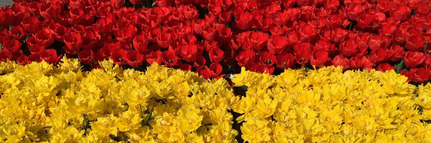 Ergun Colakoglu banner