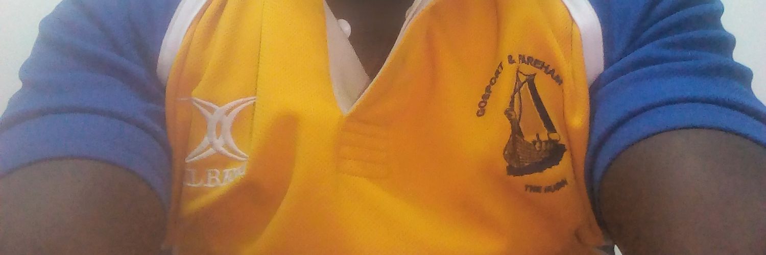 tingaland's profile banner image