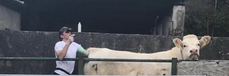 Steven Patten banner