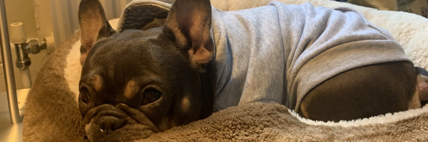 gracejakey's profile banner image
