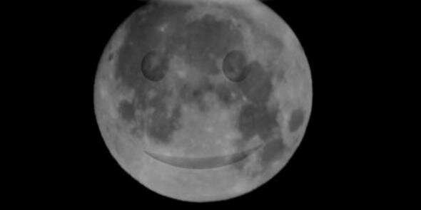 nut_AS's profile banner image